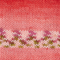 Hayfield Baby Blossom Chunky Yarn