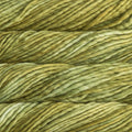 Malabrigo Rasta Yarn