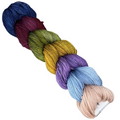 New Garden Yarns Butterfly Palettes Yarn