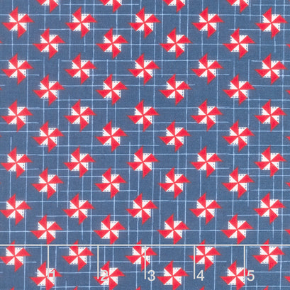 Sweet Freedom - Pinwheels Oxford Yardage