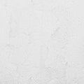 Luxe Cuddle® - Dazzle Snow Silver Metallic Yardage Primary Image