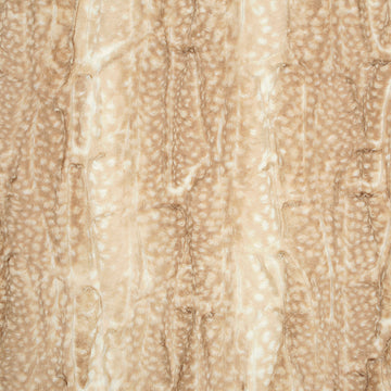 Luxe Cuddle® - Fawn Beige Yardage Primary Image