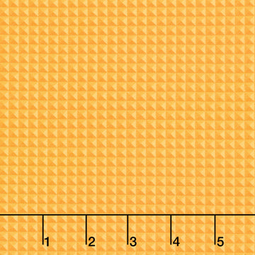 Live Boldly - Block Blender Carrot Yardage Primary Image