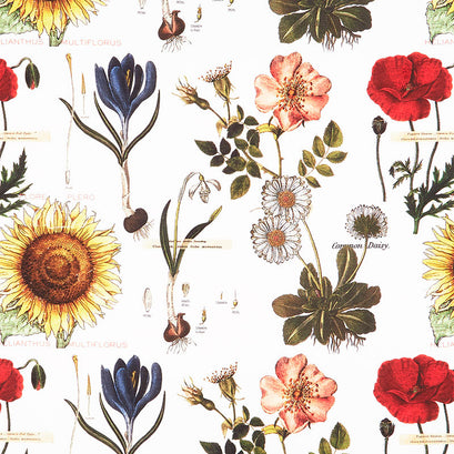 Art Journal - Botanicals White Yardage