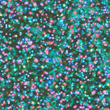 Winter Solstice - Aurora Borealis Christmas Lights Multi Yardage Primary Image
