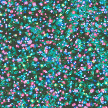 Winter Solstice - Aurora Borealis Christmas Lights Multi Yardage Primary Image