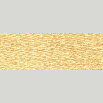 DMC Embroidery Floss - 3046 Medium Yellow Beige Alternative View #1
