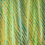 Artisan Batiks - Raku Stripe - Stripe Aloe Yardage Primary Image