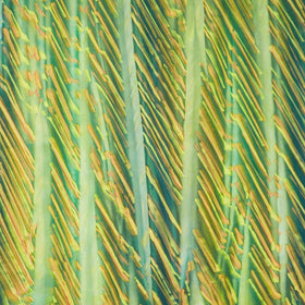 Artisan Batiks - Raku Stripe - Stripe Aloe Yardage Primary Image