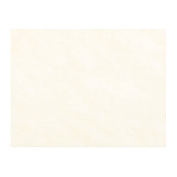 Rainbow Classic 9" x 12" Felt Squares - Antique White Primary Image