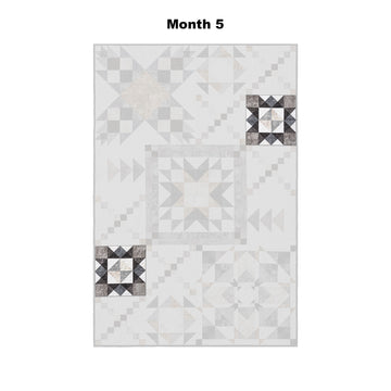 Naturally Neutral Block of the Month Alternative View #6