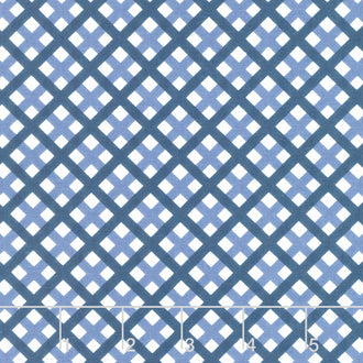 Sweet Freedom - Gingham Picnic Blue Yardage