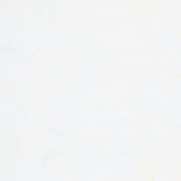 Foundations Neutrals Batiks - Paisley Dots Neutral Yardage Primary Image