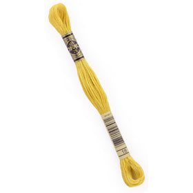 DMC Embroidery Floss - 18 Yellow Plum Primary Image