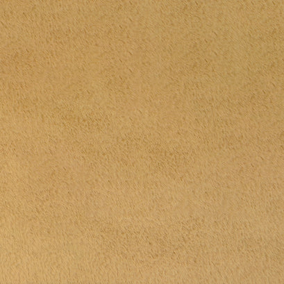 Luxe Cuddle® - Seal Sand Minky Yardage