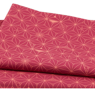 Moongate Continuum Nebula Pink 2 Yard Cut