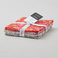 Artist's House Option C - Favorites 5 Piece Fat Quarter Bundle Alternative View #1