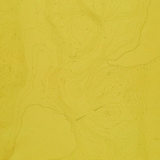 Sun Print 2023 - Topography Toad Yardage