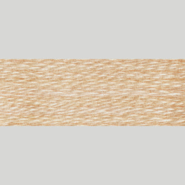 DMC Embroidery Floss - 3774 Very Light Desert Sand Alternative View #1