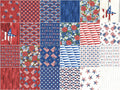 America the Beautiful Jelly Roll