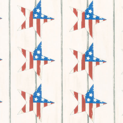America the Beautiful - Large Stars Distressed White Yardage