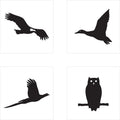 America's Wildlife Fusible Appliqué Shapes - Series 3