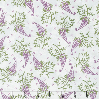 Amour - Single Paisley Gray Yardage