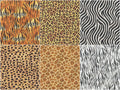 Animal Kingdom Minis Ten Squares Alternative View #2