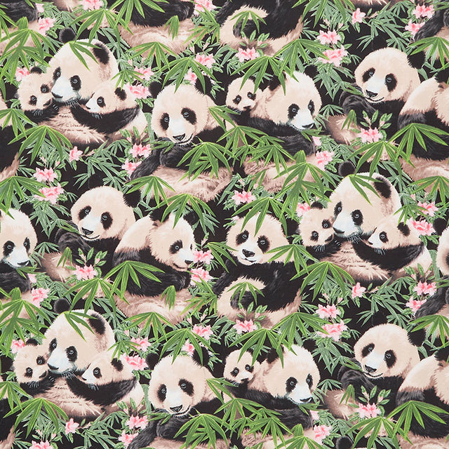 Animals - Panda Bears Black Yardage Primary Image