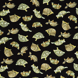 Animals - Realistic Box Turtles Black Yardage
