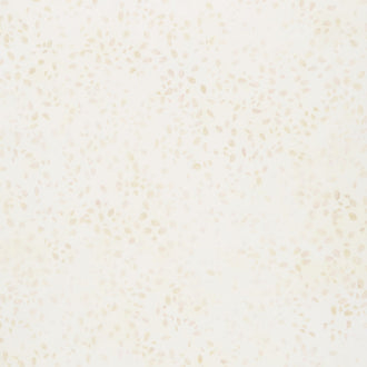 Artisan Batiks Celebrate Fall - Seeds Ivory Yardage