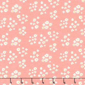 Hello Spring - Daisies Coral Yardage