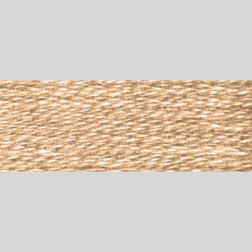 DMC Embroidery Floss - 3864 Light Mocha Beige Alternative View #1