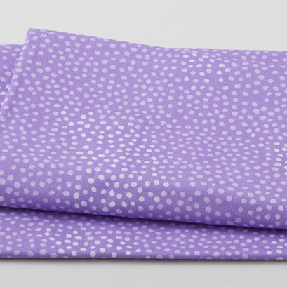 Faded Dots Blender - Purple 2 Yard Cut