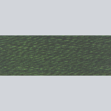DMC Embroidery Floss - 934 Black Avocado Green Alternative View #1