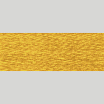 DMC Embroidery Floss - 3852 Very Dark Straw Alternative View #1