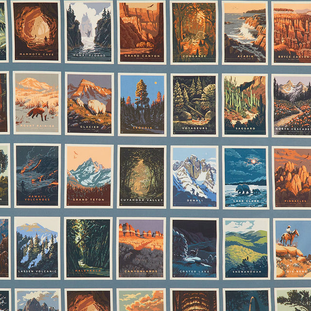 National Parks - Postcards Patch Blue Yardage Primary Image
