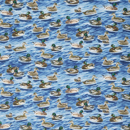 Animals (Timeless Treasures) - Mallard Ducks Blue Yardage Primary Image