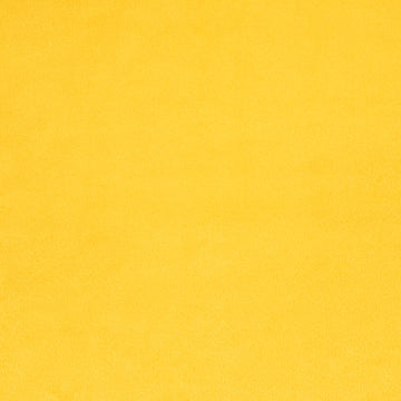 Cuddle Extra Wide - Cuddle Extra Wide Sunshine Yardage Primary Image