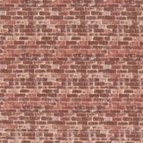 Naturescapes - Red Brick Rust Yardage Primary Image