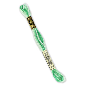 DMC Embroidery Floss - 125 Variegated Seafoam Green Primary Image