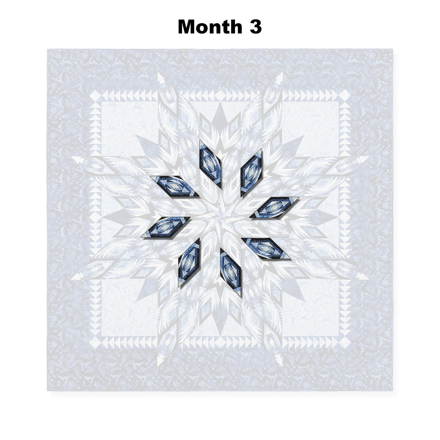 Winter's Glow Block of the Month Alternative View #4