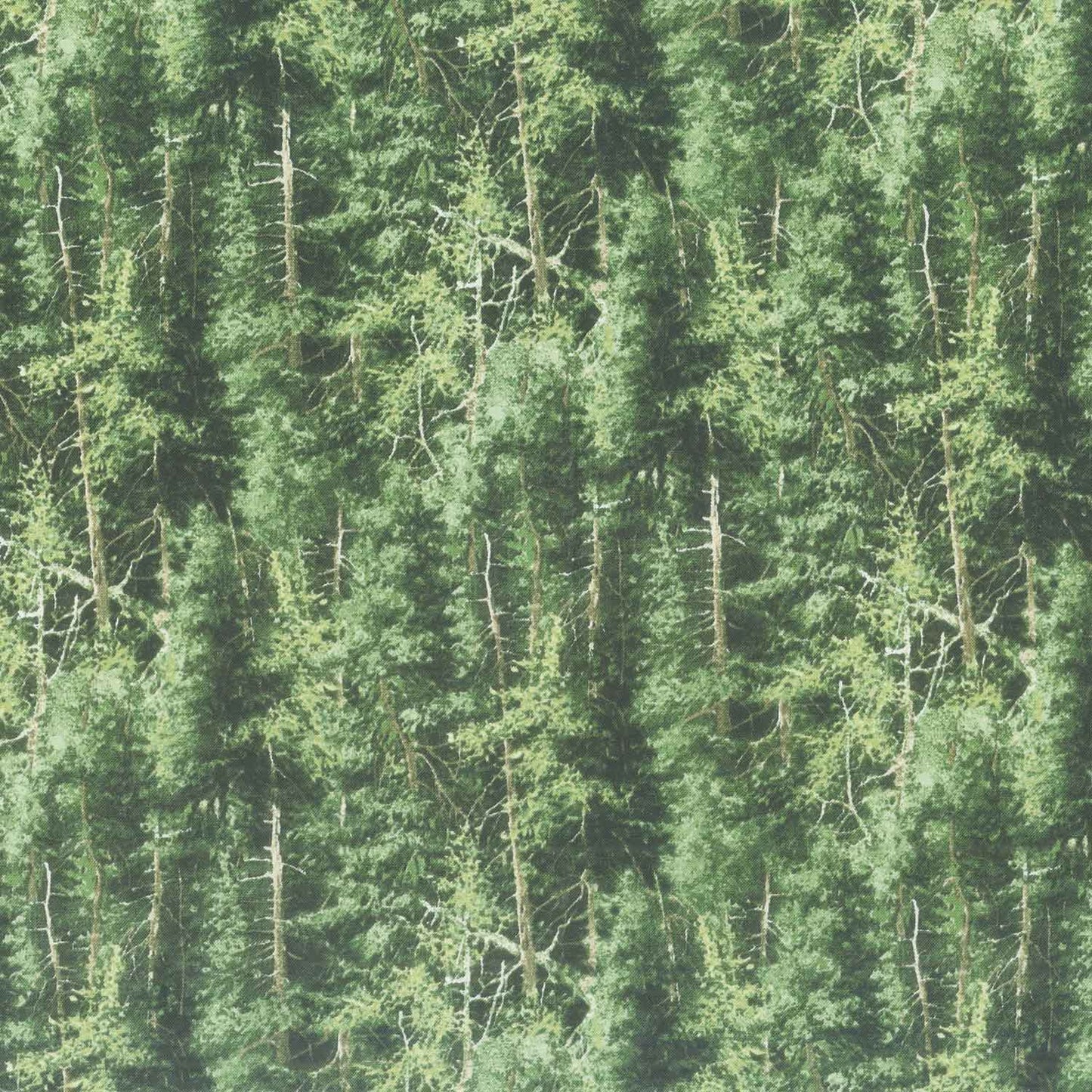 Naturescapes - Evergreen Trees Mid Green Yardage Primary Image