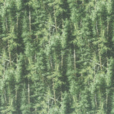 Naturescapes - Evergreen Trees Mid Green Yardage Primary Image