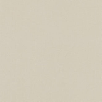 Kona Cotton - Parchment 108" Wide Backing