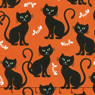 Bats and Black Cats - Bone Appetit Orange Yardage