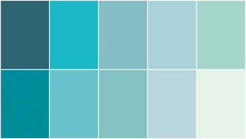 Handpicked Produce - Sweet Solids Sea Breeze Rolie Polie 20 pcs. Alternative View #2