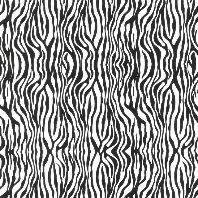 Earth Song - Zebra Stripe White Yardage Primary Image