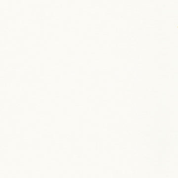 Flannel Solid - Solid Ivory Yardage Primary Image