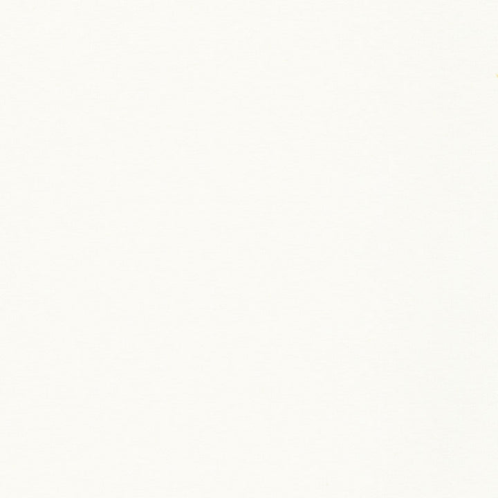 Flannel Solid - Solid Ivory Yardage Primary Image